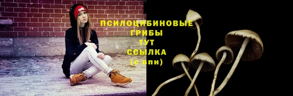 таблы Тайга