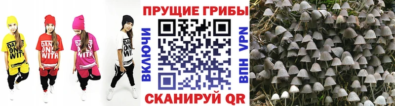 Псилоцибиновые грибы ЛСД  Усолье-Сибирское 